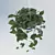 Tropical Philodendron: Hanging Indoor Plant 3D model small image 2