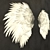 Heavenly Feather Relief 3D model small image 2