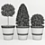 Buxus_two - High-quality 3D Plant Model 3D model small image 2
