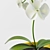 Lovely Plant 3D model small image 2