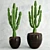 Archived Cactus Model with Textures & Materials 3D model small image 1