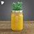 Mason Jar Succulent Duo 3D model small image 2