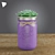 Mason Jar Succulent Duo 3D model small image 3