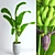 Realistic Banana Tree with Moss - Stylish and Lifelike Décor 3D model small image 1