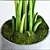 Realistic Banana Tree with Moss - Stylish and Lifelike Décor 3D model small image 2