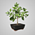 Elegant Gardenia Sculpture 3D model small image 1