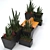 Architectural Bench & Plant Duo 3D model small image 2
