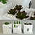 Quirky Cube Vases with Cactus 3D model small image 1