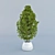 Elegant Potted Plant for Home Decor 3D model small image 2