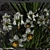 Alpine Breeze Floral Hill 3D model small image 3