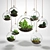 Sedum in Glass Sphere: Lush Succulent Display 3D model small image 1