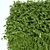 Compact Boxwood Hedges 3D model small image 2