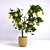 Lively Lemon Tree 3D model small image 1