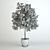 Elegant Benjamin Ficus Tree 3D model small image 2