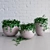 Elegance in Green: Ivy Pots 3D model small image 1