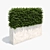 White Concrete Planter with Lush Hedge 3D model small image 1