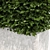 White Concrete Planter with Lush Hedge 3D model small image 2