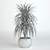 Tall Dracaena Plant 580mm 3D model small image 2