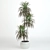 Tall Dracaena: 1060 mm 3D model small image 1