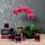 Teatro Fragranze Home Aromas Set 3D model small image 2