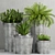 Vintage Planters Set 3D model small image 2