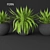 Elegant Fern Duo 3D model small image 1