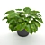 Lush Green Philodendron: A Stunning Evergreen Houseplant 3D model small image 2