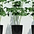 Minimalist Planters for Modern Spaces 3D model small image 2
