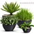 Elegant Plants Collection: 71 Varieties 3D model small image 1