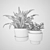 Botanical Beauties: Lush Plants Collection 3D model small image 3