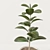 Concrete Pot Ficus 3D model small image 2