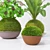 Zen Garden Kokedama Set 3D model small image 2