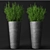 Urban Oasis: Concrete Pot Set with Plants 3D model small image 2