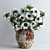 Elegant White Anemones in Ceramic Vase 3D model small image 1