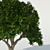 Exterior Tree: 3m Height, 2.8m Crown 3D model small image 2