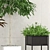 10 Indoor Plants Collection 3D model small image 3