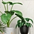 Green Oasis: Live Potted Plants 3D model small image 3