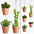 Boho Plant Hanging Set 3D model small image 1