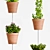 Boho Plant Hanging Set 3D model small image 2