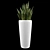 Large Sansevieria Floor Plant 3D model small image 1