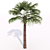 500 Frames Animated Palm Tree 3D model small image 1