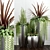 12 Room Plants Set 3D model small image 1