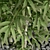 Sustainable Bamboo 3D Model 3D model small image 3