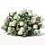 Elegant Hydrangea Blooms 3D model small image 1