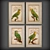 Birds: A Collection of Paintings 3D model small image 2