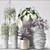 Botanical Beauties: Potted Plants 3D model small image 3