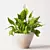 Detailed Spathiphyllum Plant Model 3D model small image 1