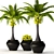 Tropical Coconut Palm Duo 3D model small image 1