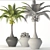 Tropical Coconut Palm Duo 3D model small image 3