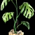 Wooden Tub Monstera: Blend Excluded 3D model small image 2